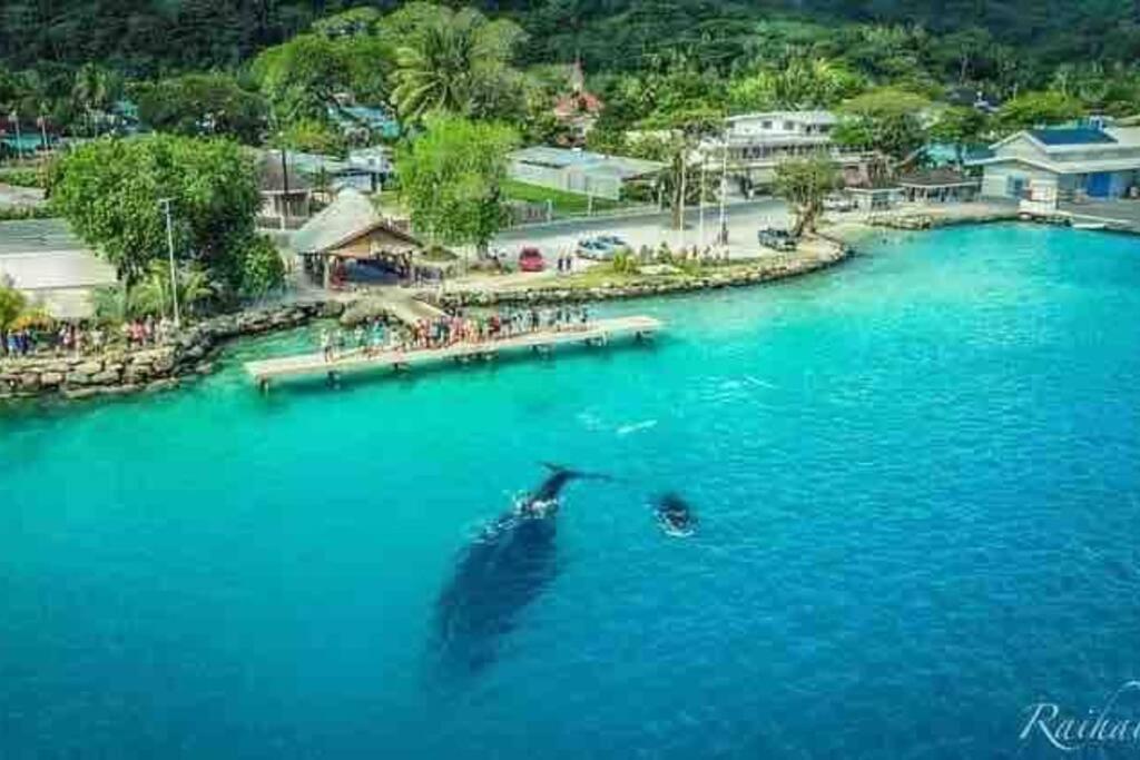 פארה Meri Lodge Huahine מראה חיצוני תמונה